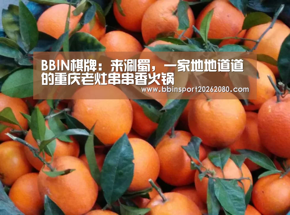 BBIN下载