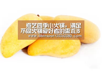 BBIN下载