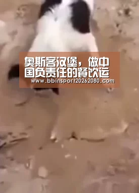 BBIN棋牌