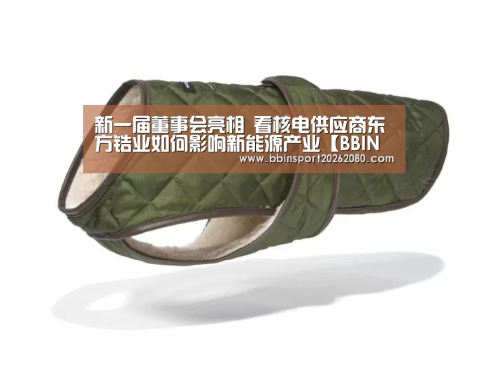 BBIN下载