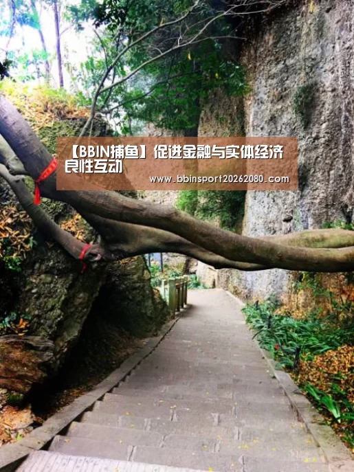 【BBIN捕鱼】促进金融与实体经济良性互动(图2) BBIN下载