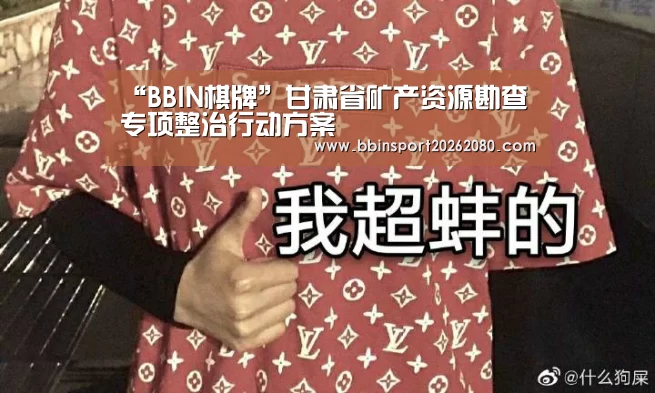“BBIN棋牌”甘肃省矿产资源勘查专项整治行动方案(图3) BBIN下载