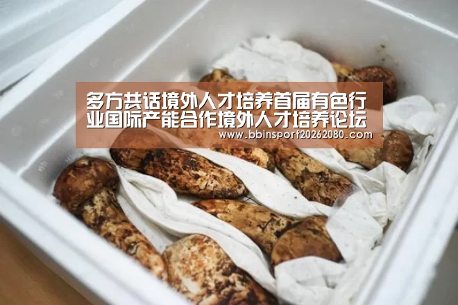 BBIN捕鱼
