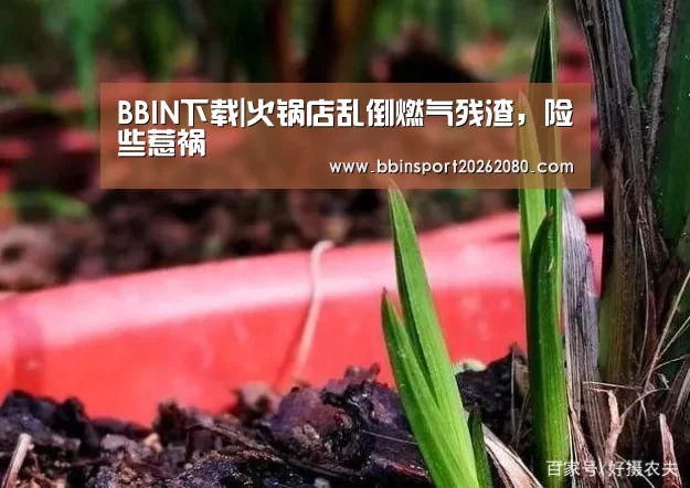BBIN棋牌