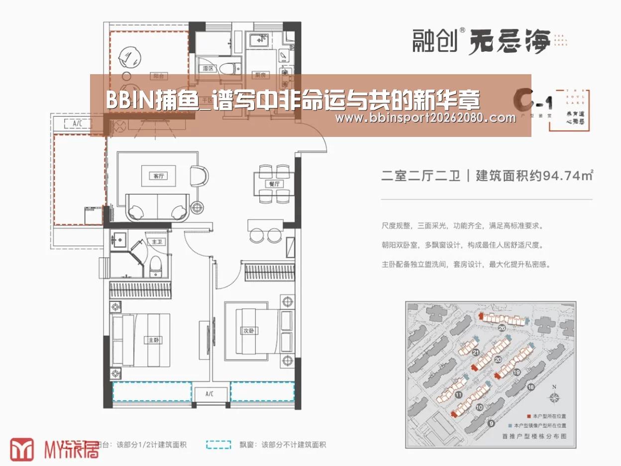 BBIN捕鱼_谱写中非命运与共的新华章(图3) BBIN捕鱼