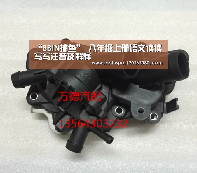 BBIN下载